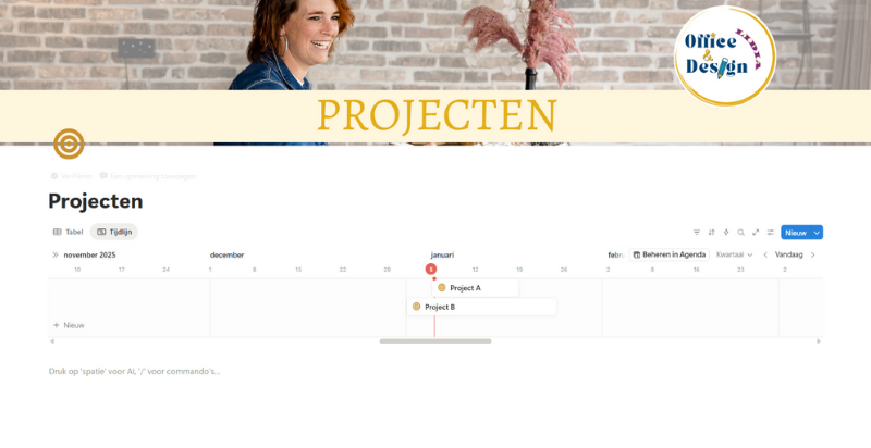 In Notion duidelijk Projecten overzicht door Office & Design Lidia